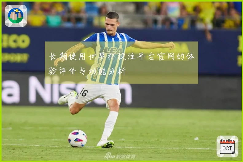 长期使用世界杯投注平台官网的体验评价与功能分析
