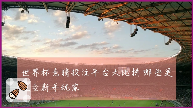 世界杯竞猜投注平台大比拼 哪些更适合新手玩家