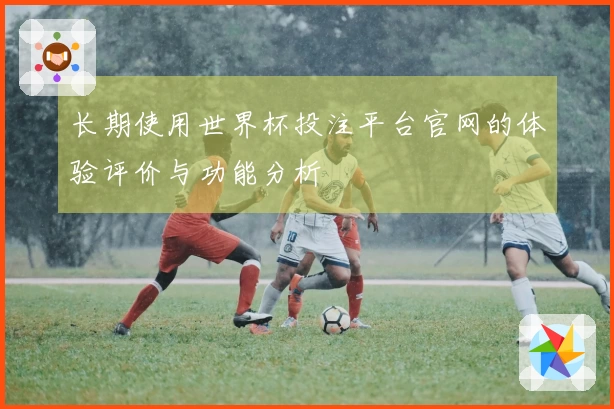 长期使用世界杯投注平台官网的体验评价与功能分析