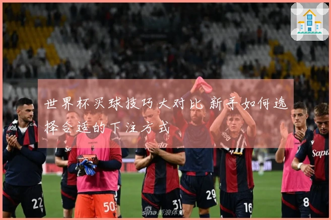 世界杯买球技巧大对比 新手如何选择合适的下注方式