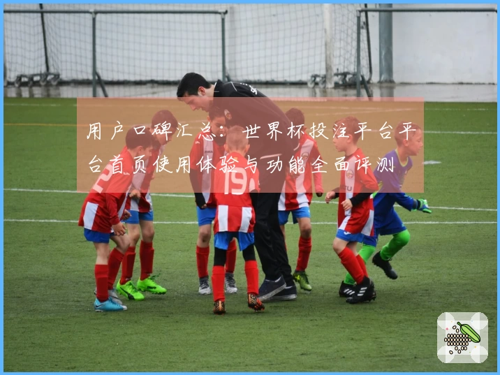 用户口碑汇总：世界杯投注平台平台首页使用体验与功能全面评测