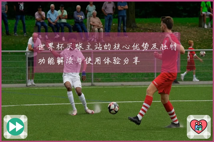 世界杯买球主站的核心优势及独特功能解读与使用体验分享