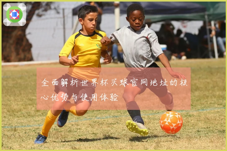 全面解析世界杯买球官网地址的核心优势与使用体验