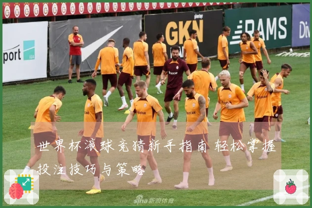世界杯滚球竞猜新手指南 轻松掌握投注技巧与策略