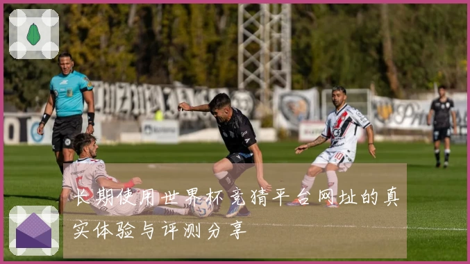 长期使用世界杯竞猜平台网址的真实体验与评测分享