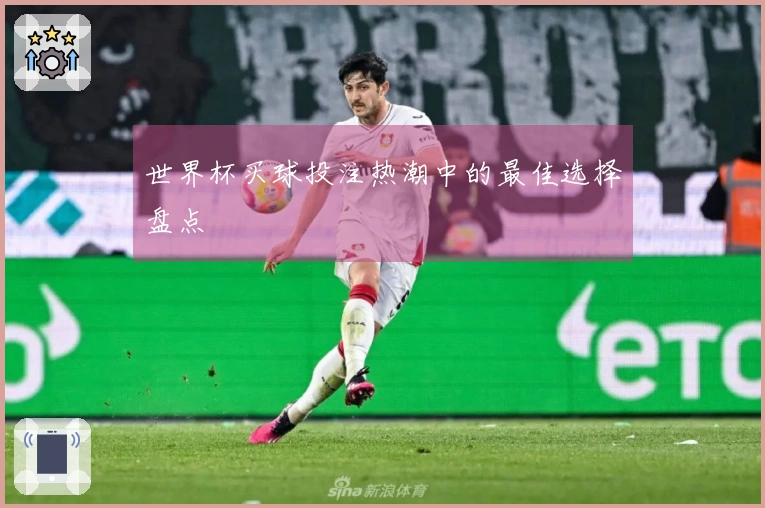 世界杯买球投注热潮中的最佳选择盘点