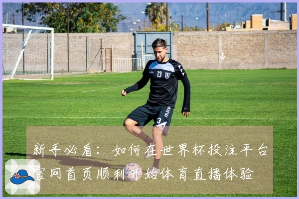 新手必看：如何在世界杯投注平台官网首页顺利开始体育直播体验