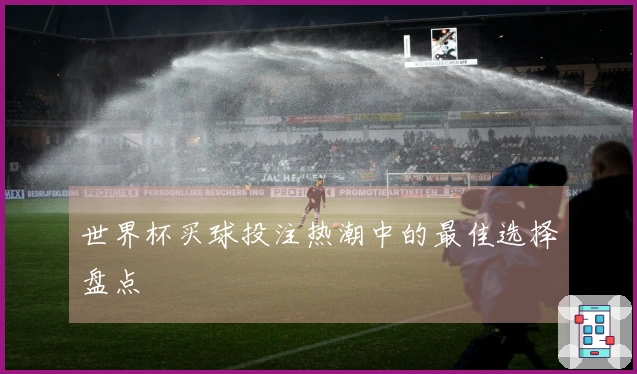 世界杯买球投注热潮中的最佳选择盘点