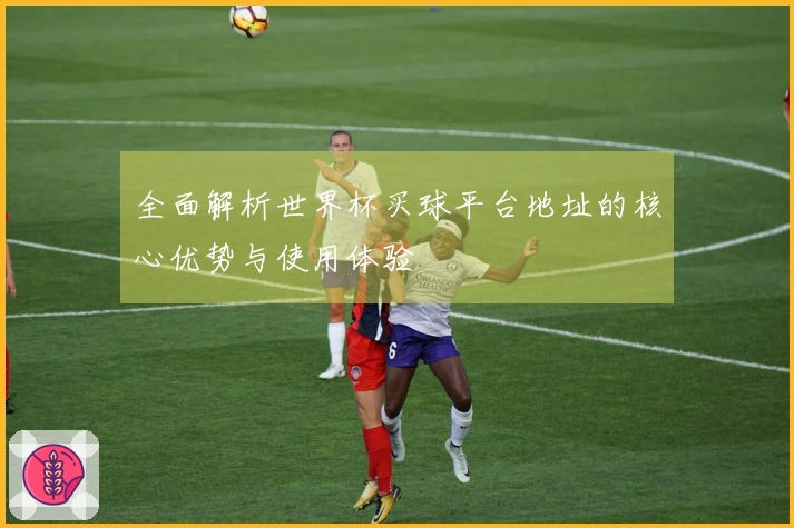 全面解析世界杯买球平台地址的核心优势与使用体验