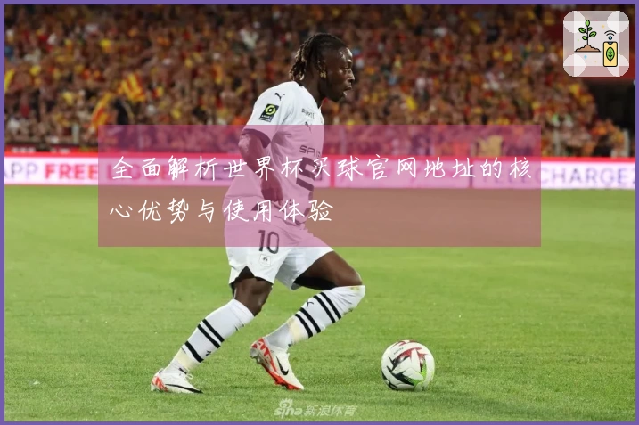 全面解析世界杯买球官网地址的核心优势与使用体验