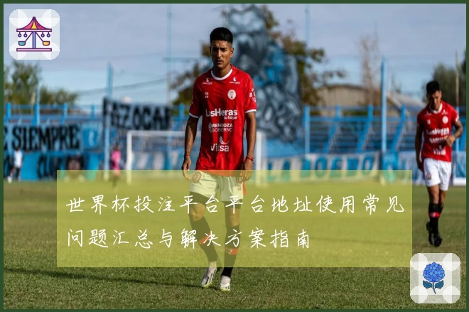 世界杯投注平台平台地址使用常见问题汇总与解决方案指南